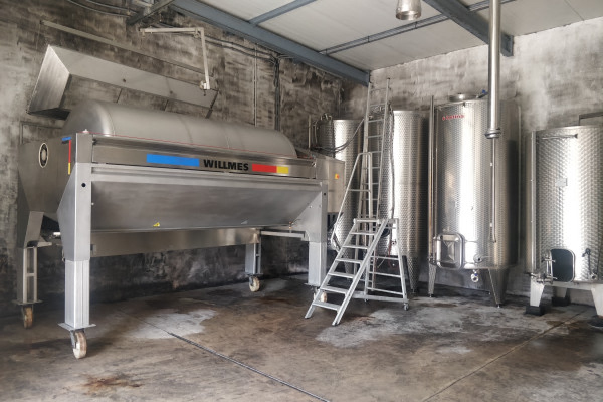 Traditioneller Besuch & Weinprobe - 5 Rebsorten - Bonjour Alsace