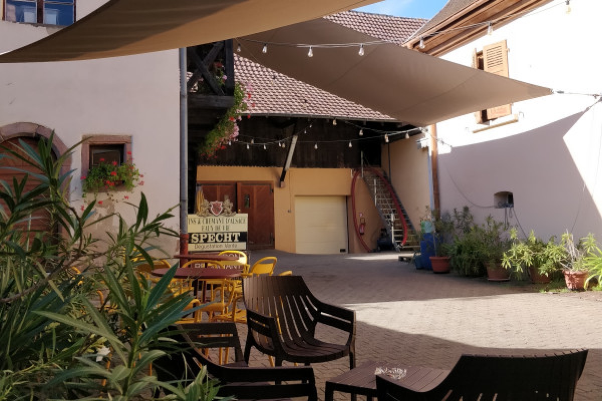 Traditioneller Besuch & Weinprobe - 5 Rebsorten - Bonjour Alsace