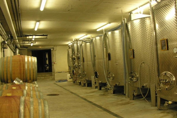 Kellereibesichtigung und Entdeckung der Elsässer Weine - Bonjour Alsace