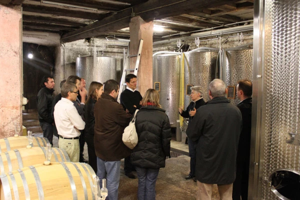 Kellereibesichtigung und Entdeckung der Elsässer Weine - Bonjour Alsace