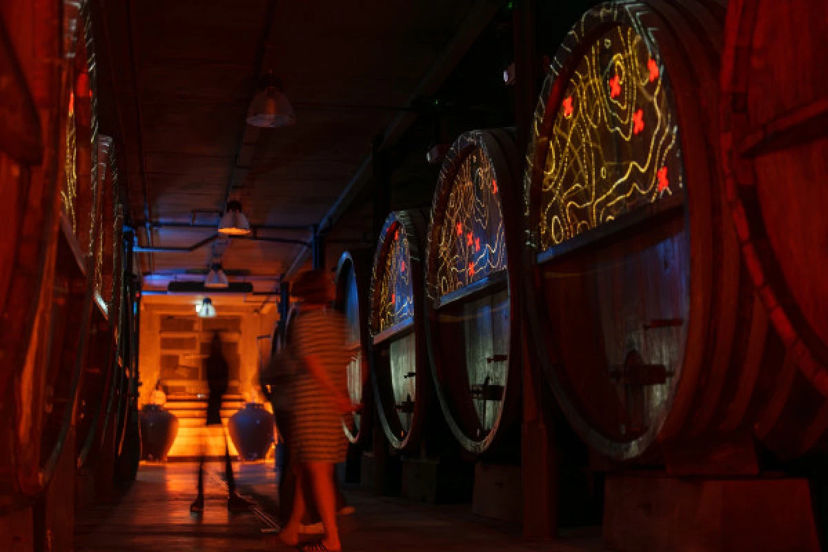 Immersive cellar tour, tasting and board meal - Bonjour Alsace