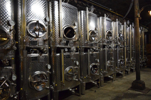 Entdeckungstour durch unsere Weinkeller! - Bonjour Alsace