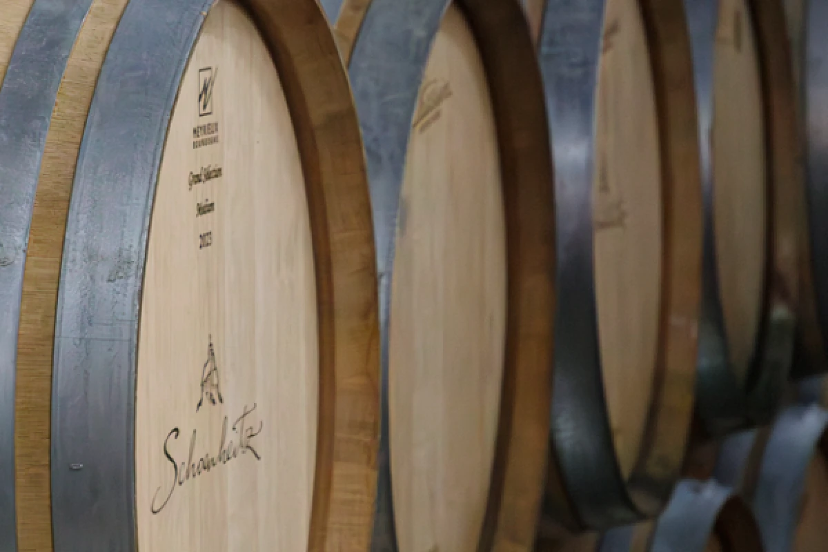 From Vine to Wine – Discover, Taste, Enjoy! - Bonjour Alsace