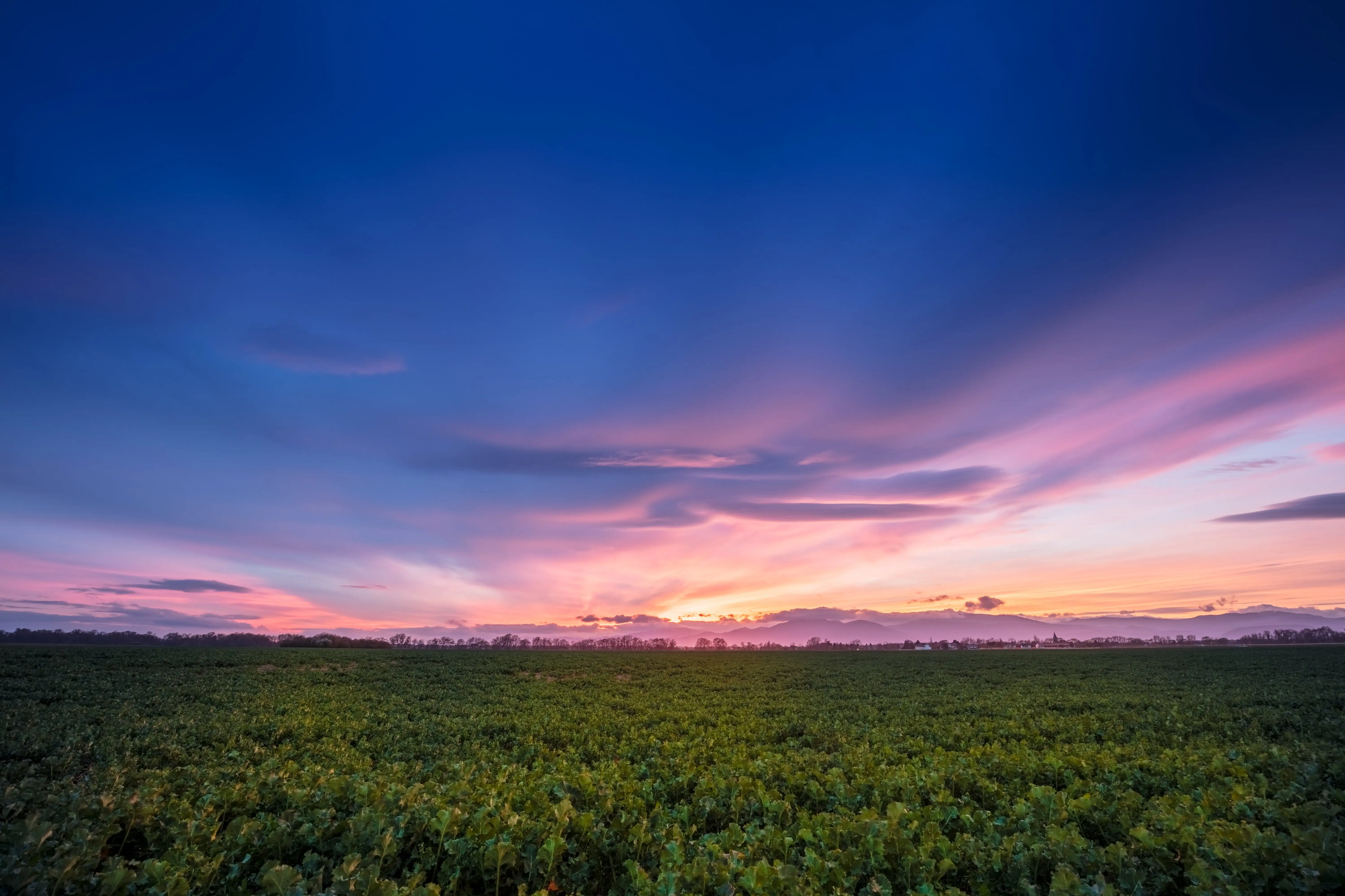 À propos Bonjour Alsace